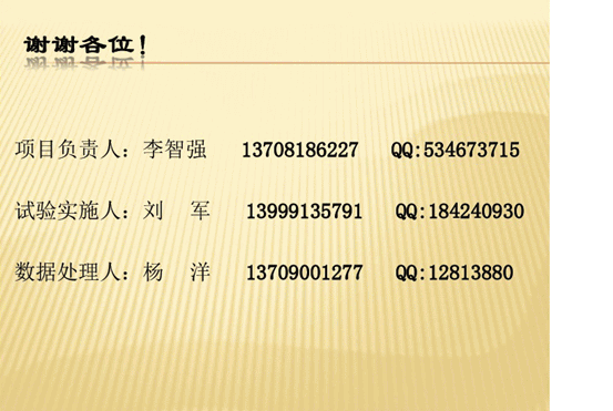 20131218234415280