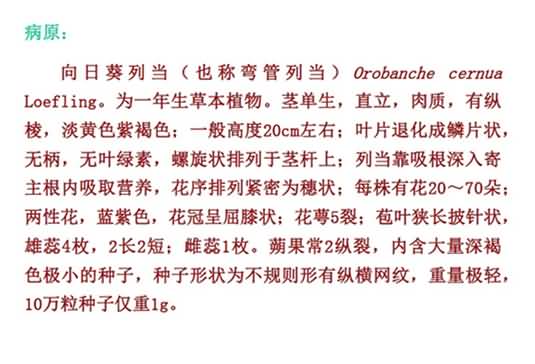 无标题.jpg向1_副本.jpg