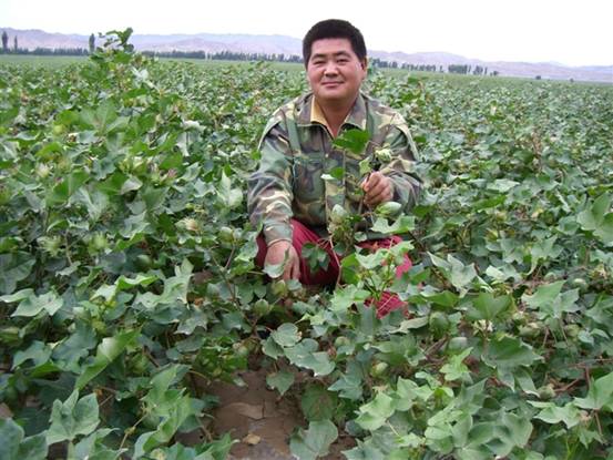 20140106215954982 06年139团种植大户李国中在示范地欣喜地笑着.jpg