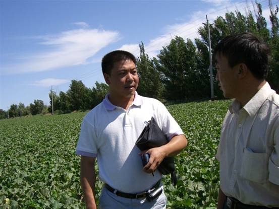 06年公司技术人员到农13师淖毛湖农场与李泉喜站长观察哈密瓜示范地.jpg