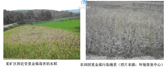 20140407205805140