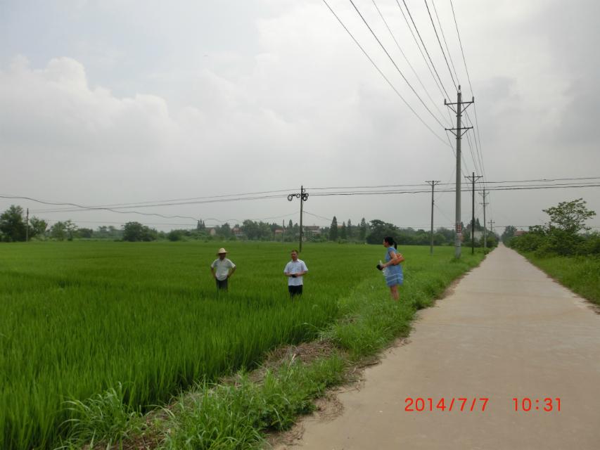 20140709212403538
