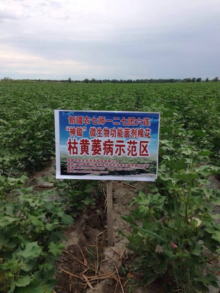 20150711000035993 20150711000035993