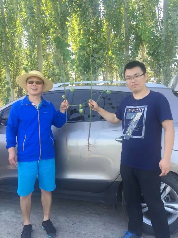 CHINA·MG冰球突破|品牌官网