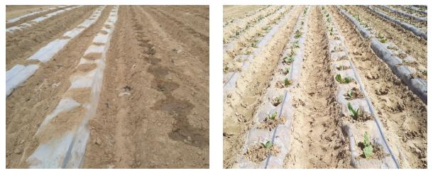 20170429095631935