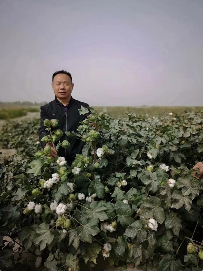 QQ截图20190205113553.jpg QQ截图20190205113553.jpg