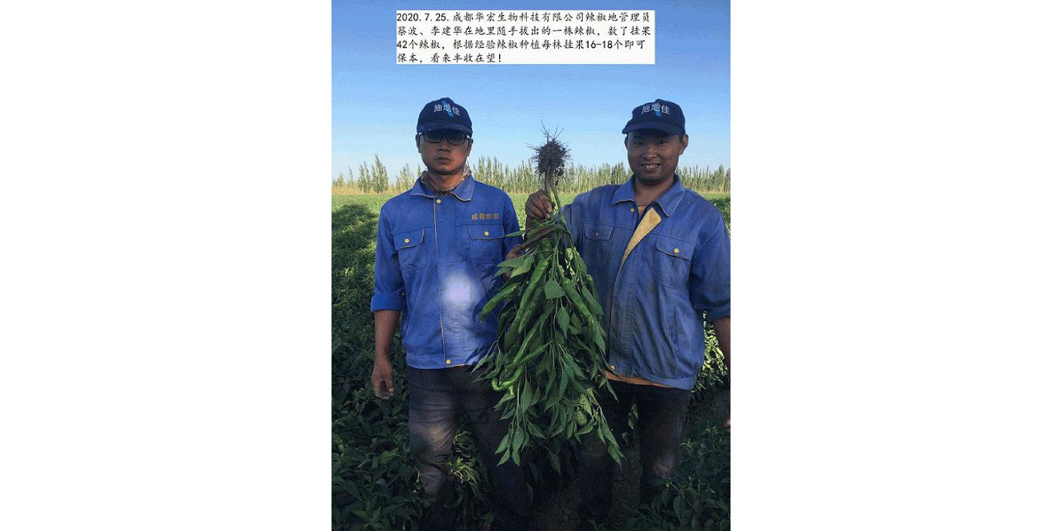 一种修复泥土重金属的生物有机肥料及其制备步骤--成都冰球突破官网曹刚整顿的资料2021.12.7.0046.jpg