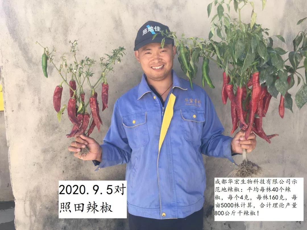 1.jpg 1.jpg
