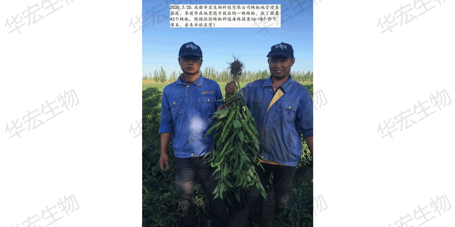 一种饲料一体化出产装置_44.jpg
