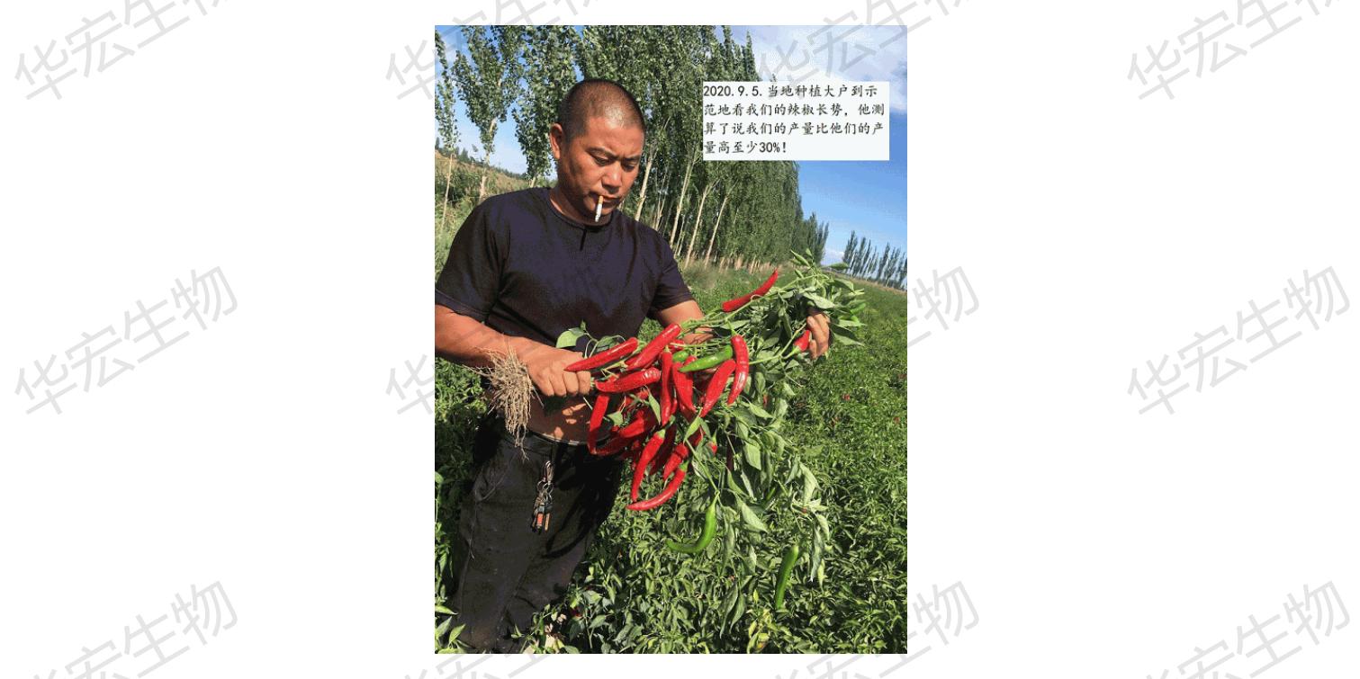 一种饲料一体化出产装置_46.jpg