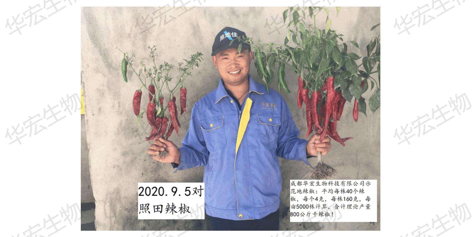 一种饲料一体化出产装置_47.jpg