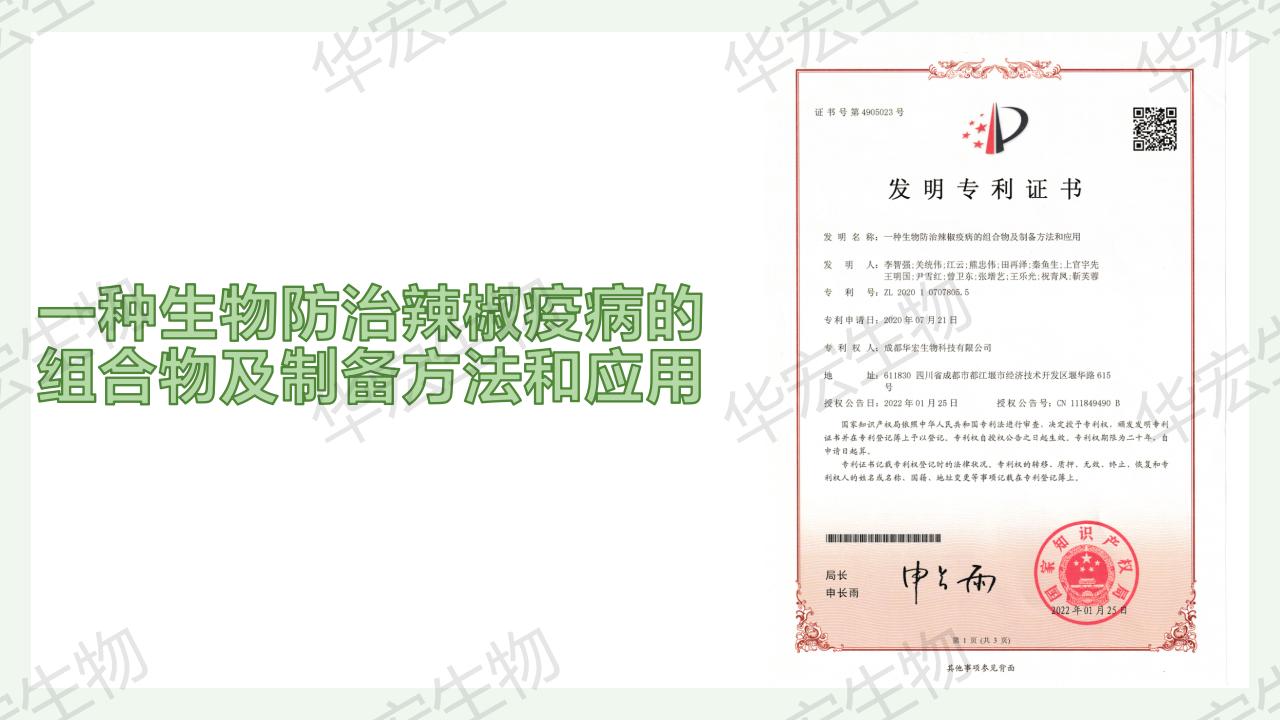 一种生物防治辣椒疫病的组合物及制备步骤和利用_02.jpg