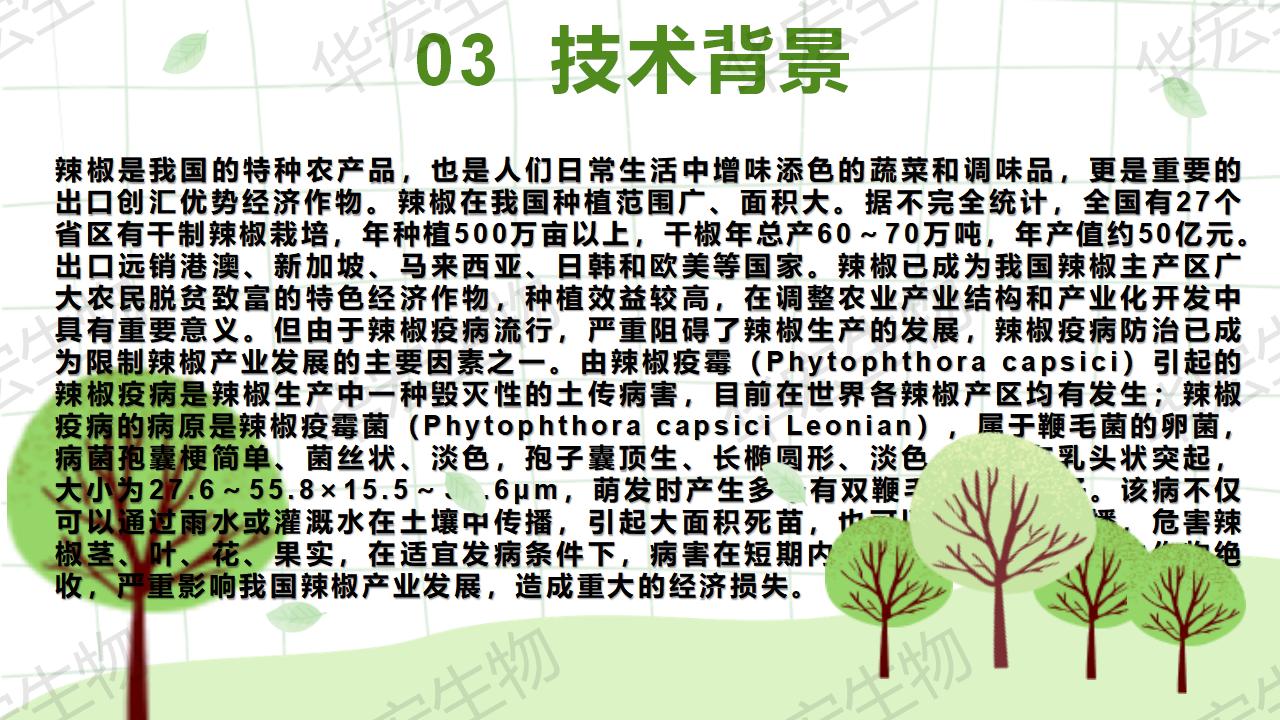 一种生物防治辣椒疫病的组合物及制备步骤和利用_10.jpg