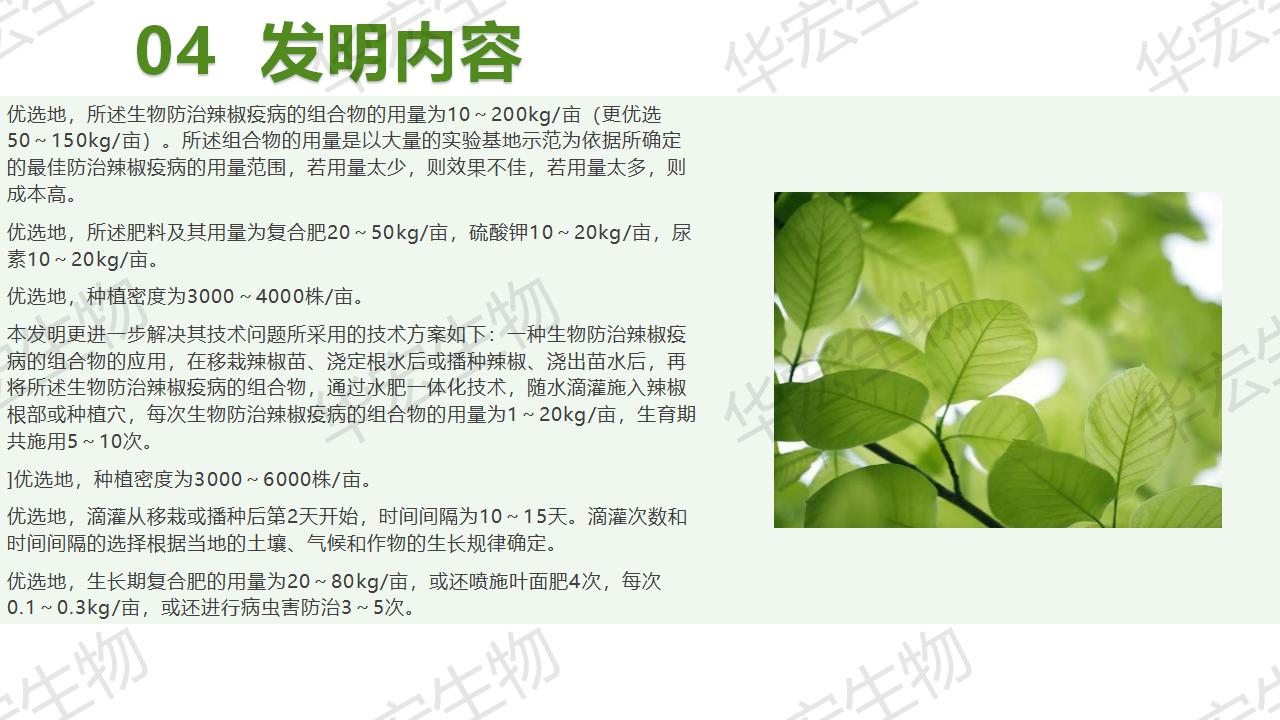 一种生物防治辣椒疫病的组合物及制备步骤和利用_18.jpg
