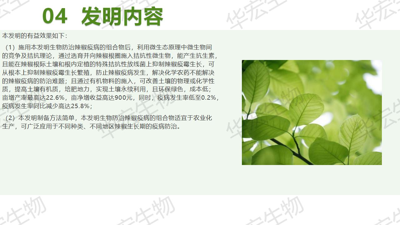 一种生物防治辣椒疫病的组合物及制备步骤和利用_19.jpg