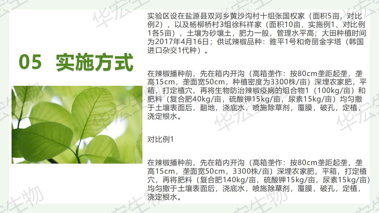 一种生物防治辣椒疫病的组合物及制备步骤和利用_21.jpg