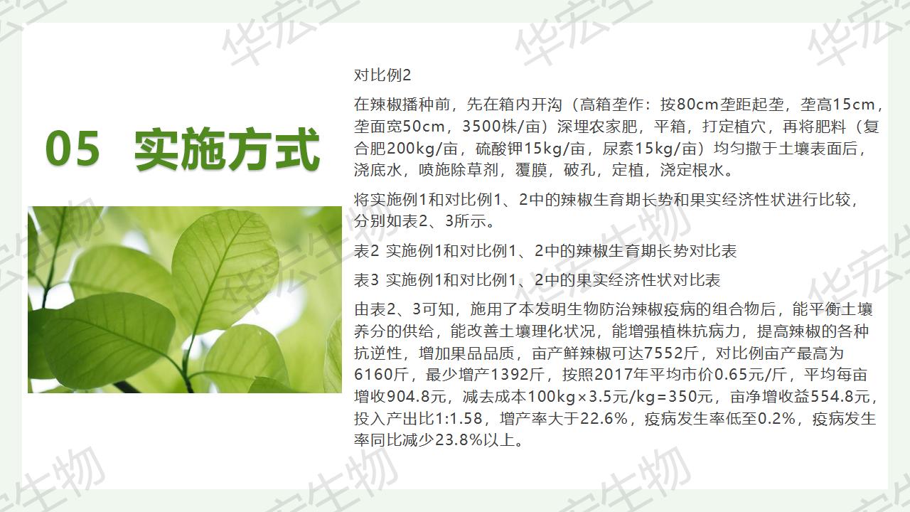 一种生物防治辣椒疫病的组合物及制备步骤和利用_22.jpg