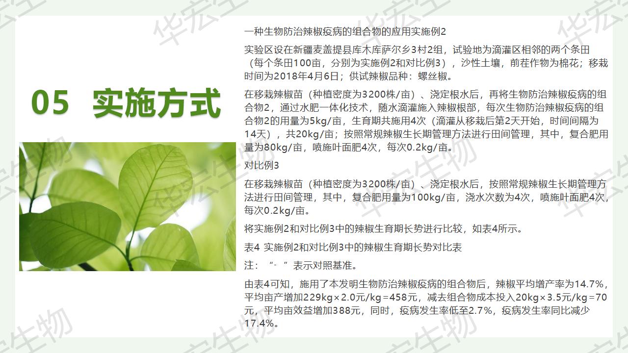 一种生物防治辣椒疫病的组合物及制备步骤和利用_23.jpg