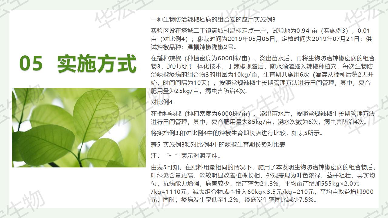 一种生物防治辣椒疫病的组合物及制备步骤和利用_24.jpg