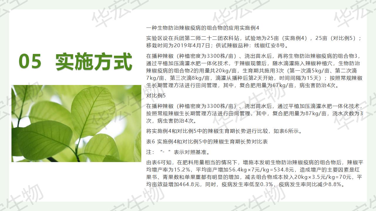 一种生物防治辣椒疫病的组合物及制备步骤和利用_25.jpg