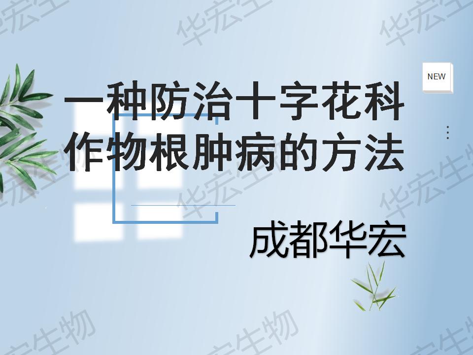 一种防治十字花科作物根肿病的步骤_01.jpg
