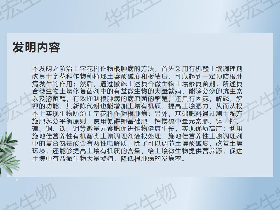 一种防治十字花科作物根肿病的步骤_18.jpg