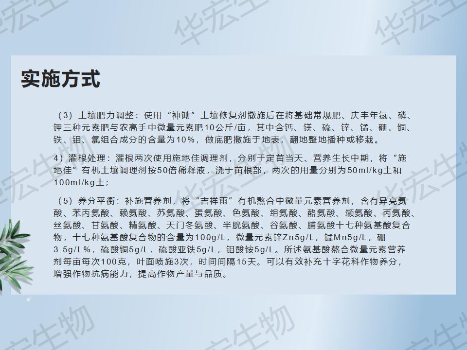一种防治十字花科作物根肿病的步骤_22.jpg