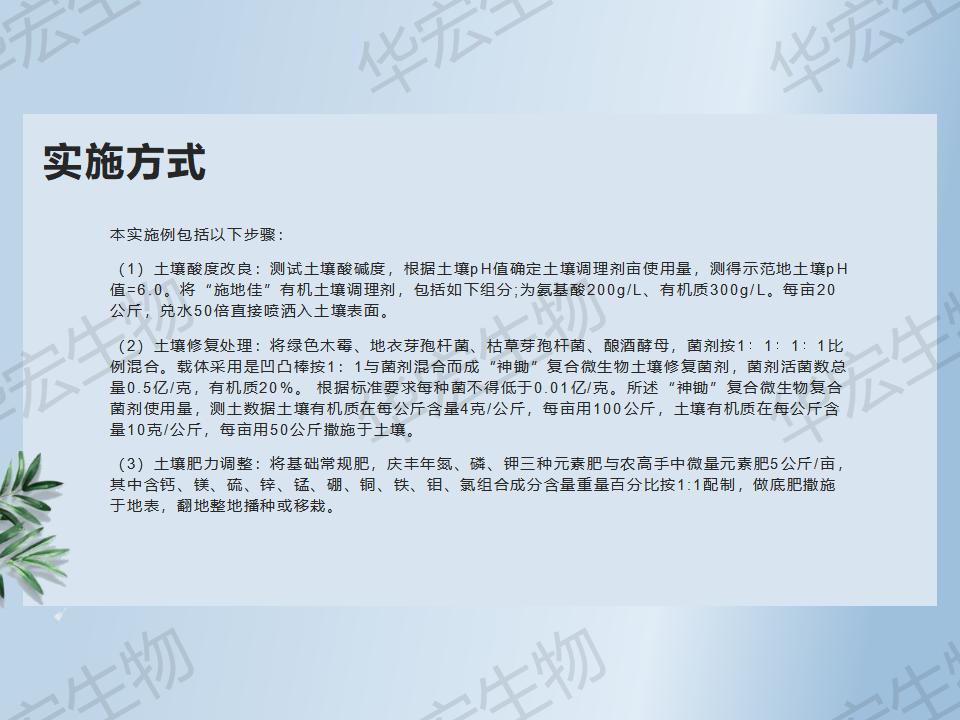 一种防治十字花科作物根肿病的步骤_31.jpg