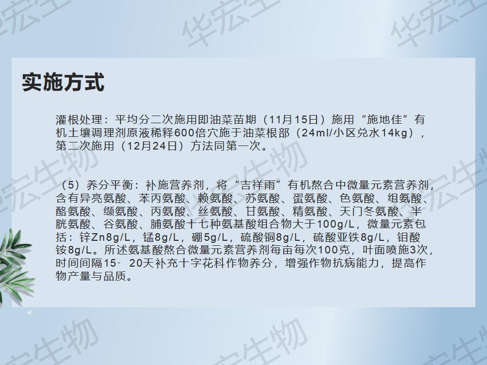 一种防治十字花科作物根肿病的步骤_32.jpg
