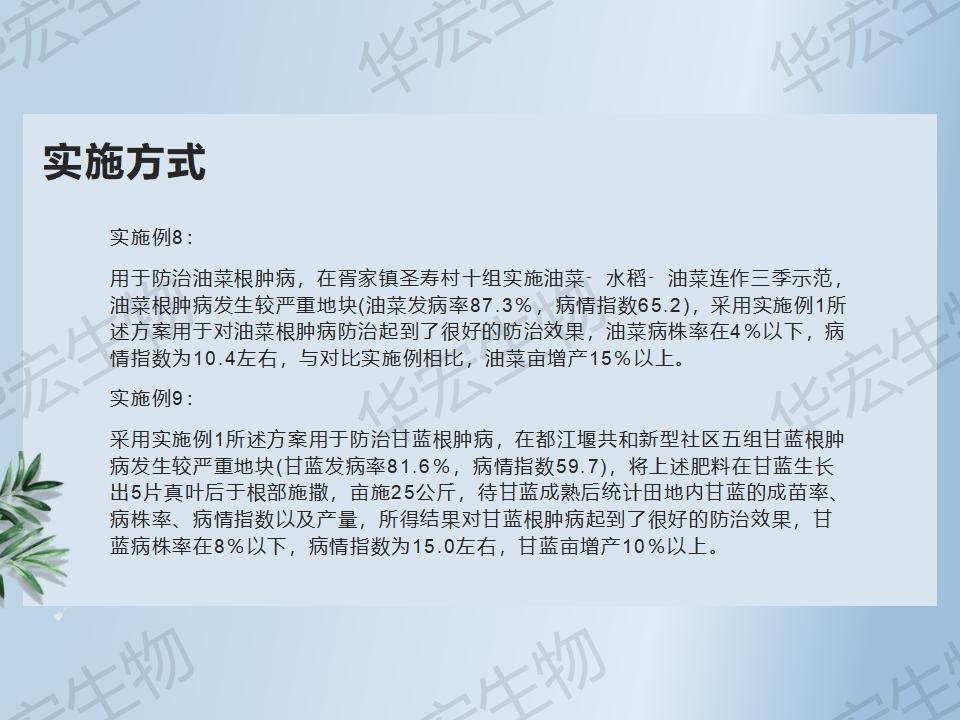 一种防治十字花科作物根肿病的步骤_39.jpg