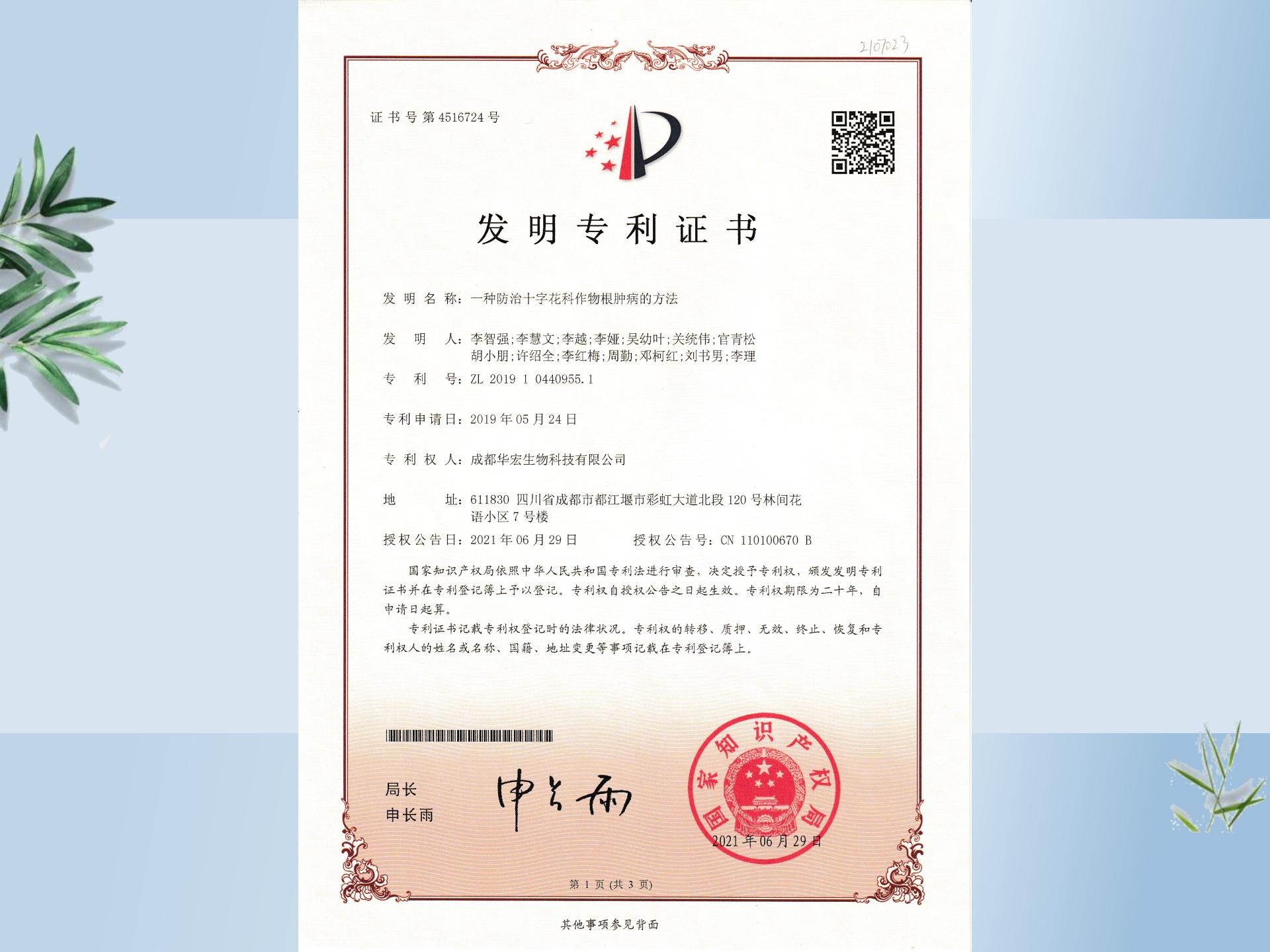 一种防治十字花科作物根肿病的步骤_05.jpg