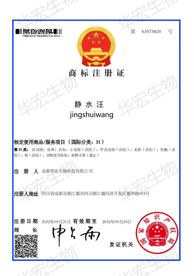 静水汪63573820号_00.jpg 静水汪63573820号_00.jpg
