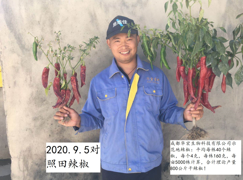 微信图片_20230209185255.png
