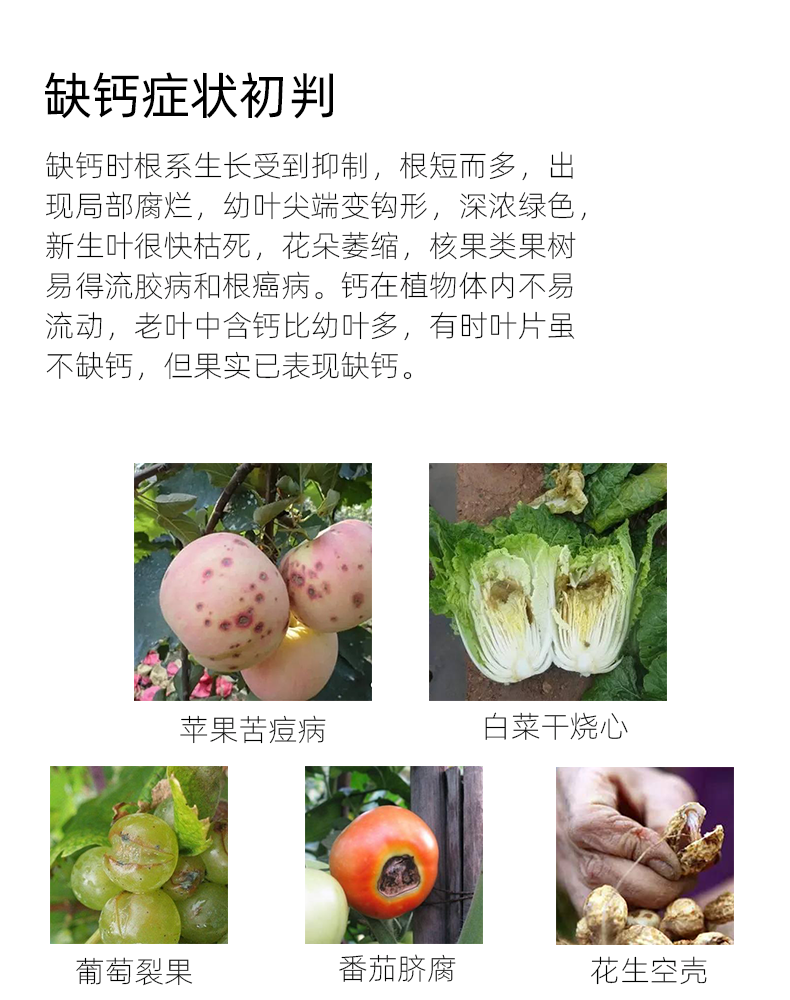缺钙.png