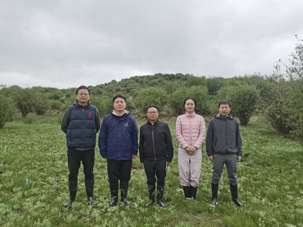 微信图片_20250628185723.jpg