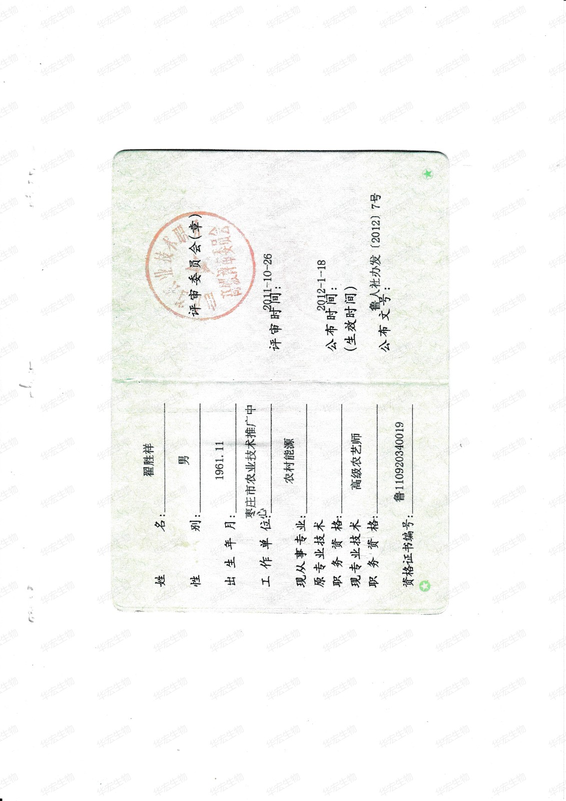 含氨基酸水溶肥料在山东呼伦贝尔茶叶上的肥效试验20250702_06.jpg