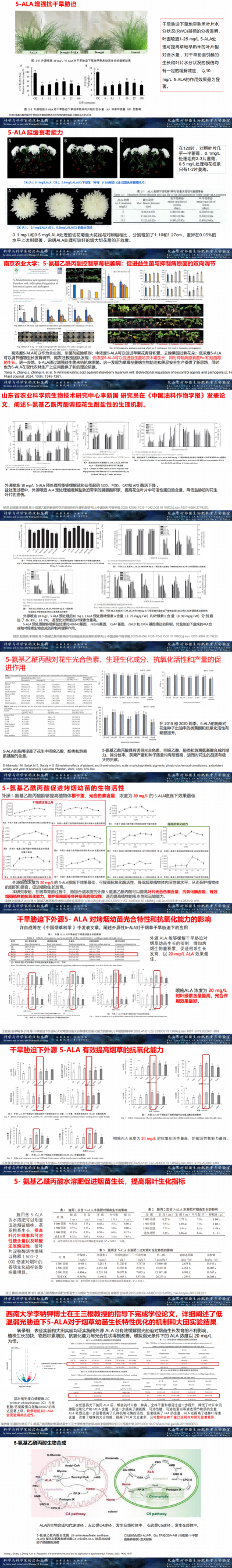 5-氨基乙酰丙酸在农业上的利用_00(2).png