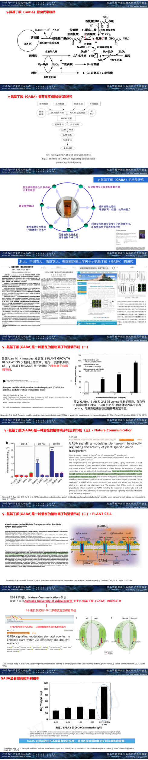 y-氨基丁酸在农业上的利用1738916962721_00(2).png
