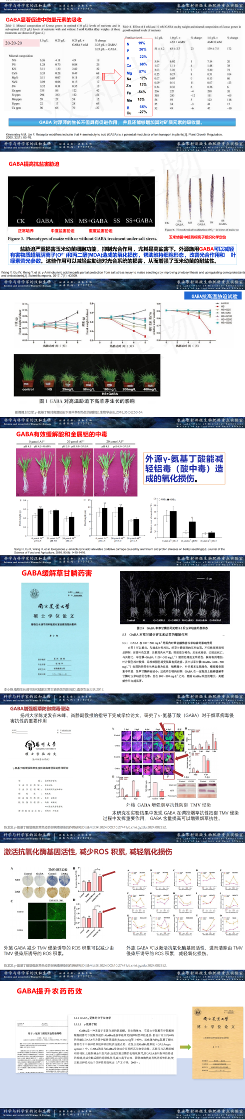 y-氨基丁酸在农业上的利用1738916962721_00(3).png